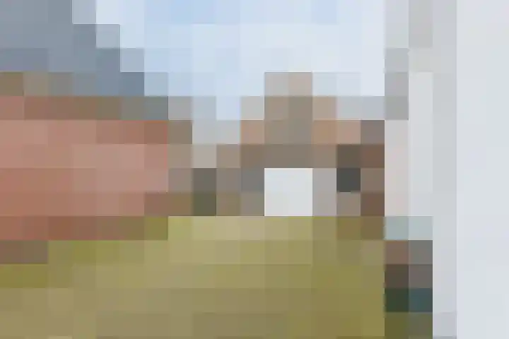 Jousterweg 147 Oudehaske thumbnail 21