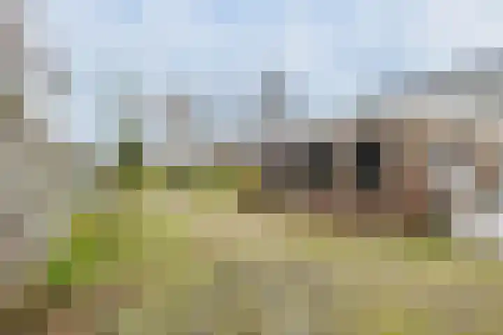 Jousterweg 147 Oudehaske thumbnail 23