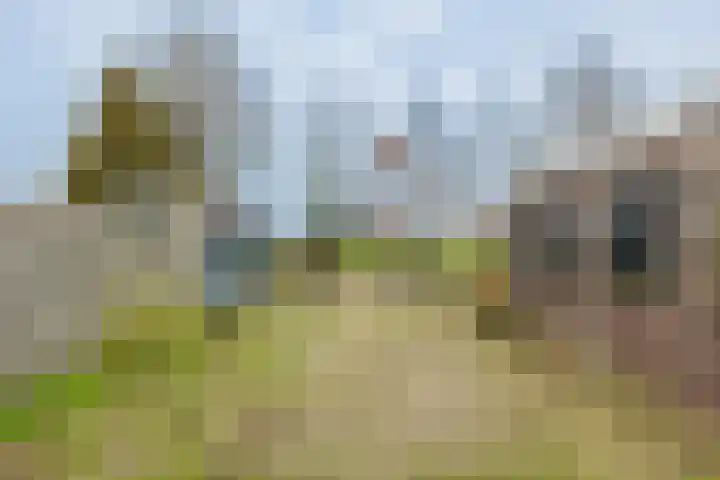Jousterweg 147 Oudehaske thumbnail 24
