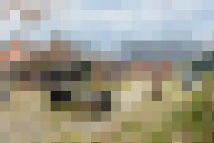 Jousterweg 147 Oudehaske thumbnail 25