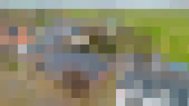 Jousterweg 147 Oudehaske thumbnail 4