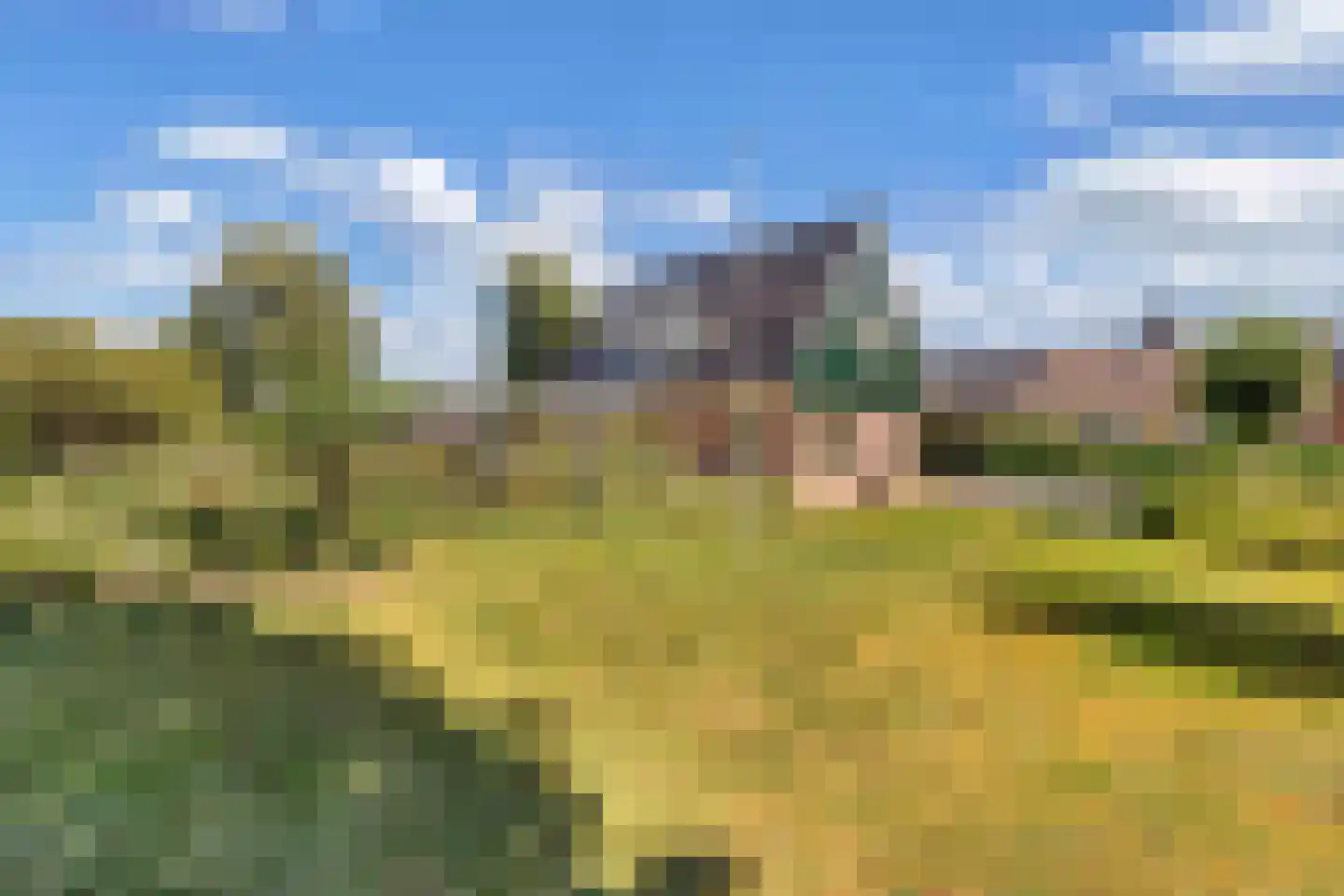 Jousterweg 187 Oudehaske thumbnail 68