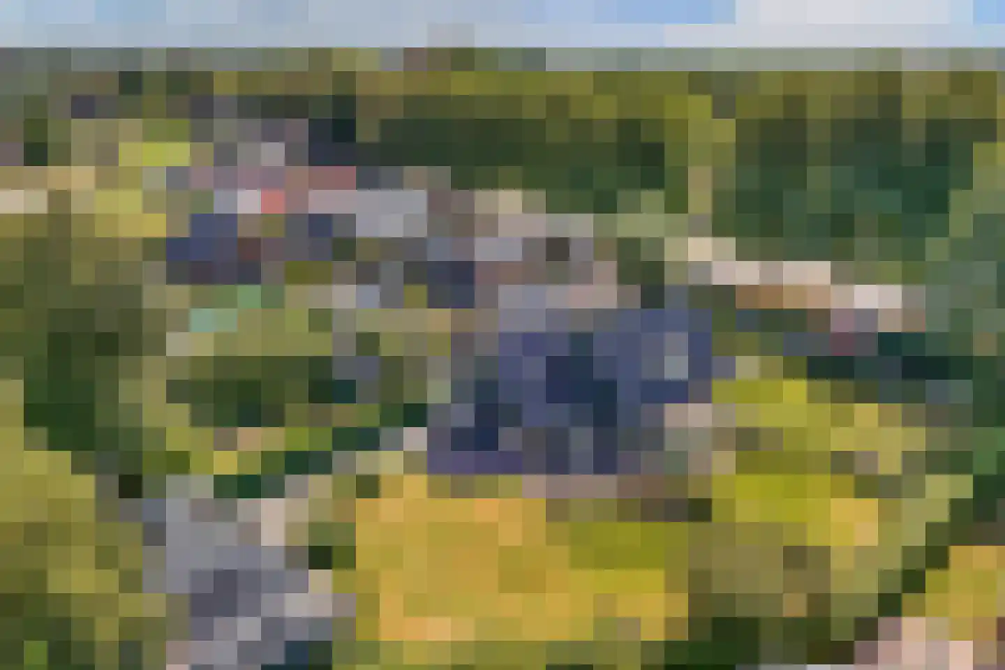 Jousterweg 187 Oudehaske thumbnail 71