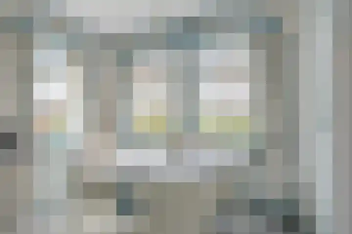 Jousterweg 6 Haskerhorne thumbnail 17
