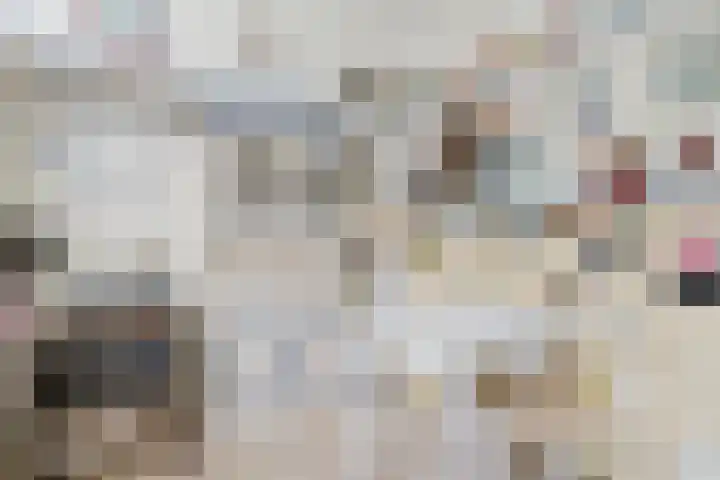 Jousterweg 6 Haskerhorne thumbnail 20