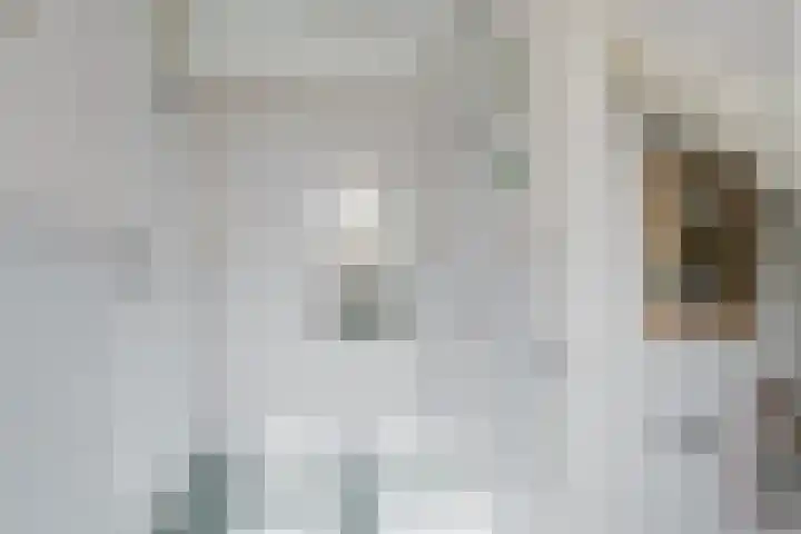 Jousterweg 6 Haskerhorne thumbnail 26
