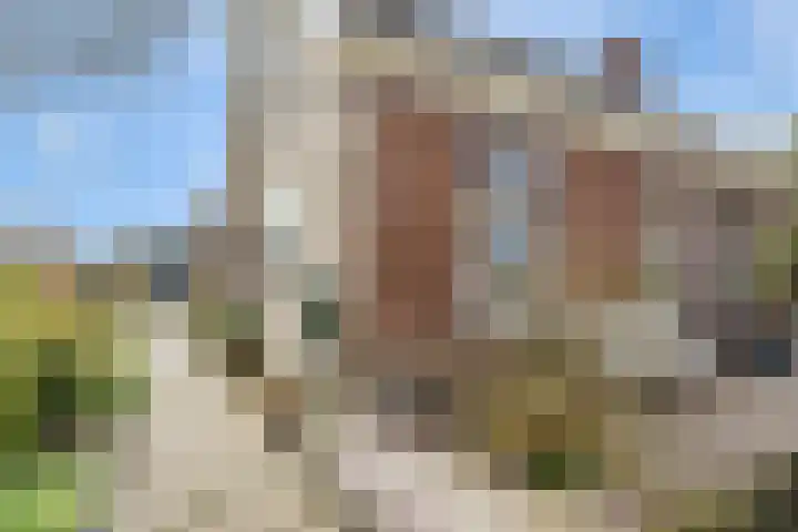 Jousterweg 6 Haskerhorne thumbnail 5
