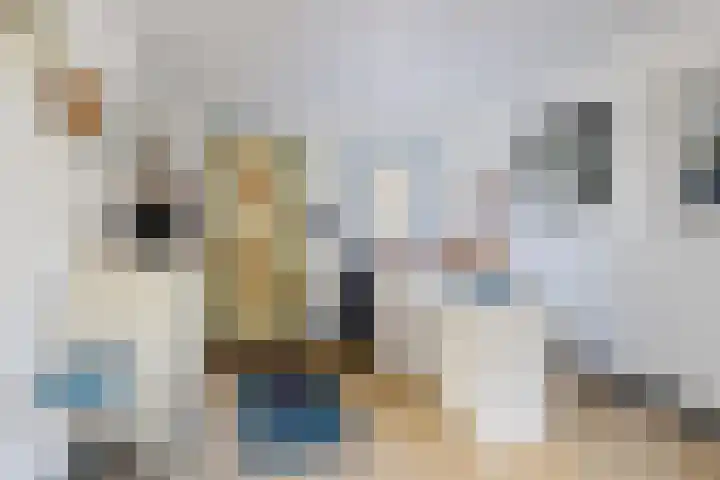 Jousterweg 6 Haskerhorne thumbnail 50