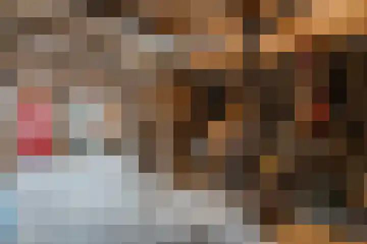 Jousterweg 6 Haskerhorne thumbnail 57