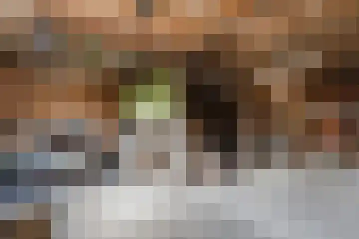 Jousterweg 6 Haskerhorne thumbnail 58