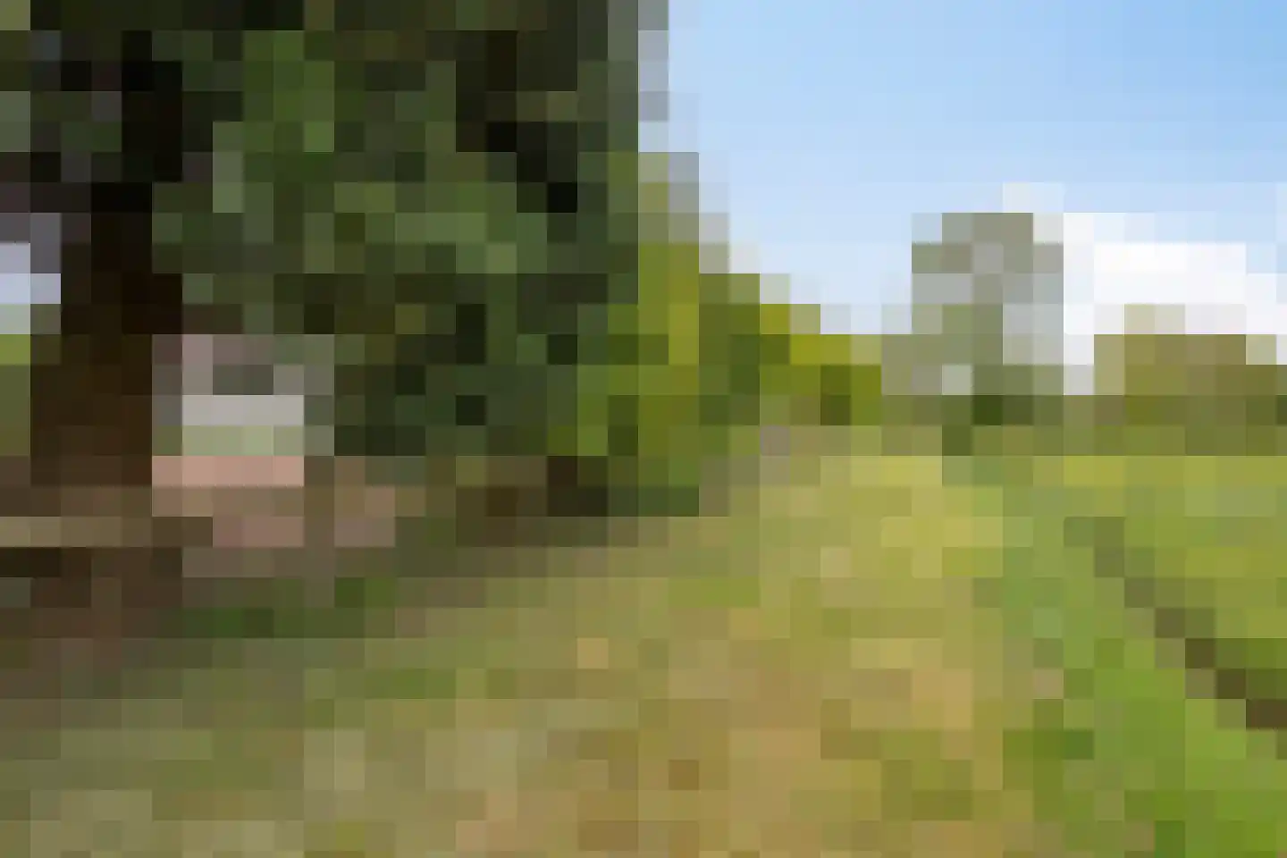 Jousterweg 91 a Oudehaske thumbnail 62