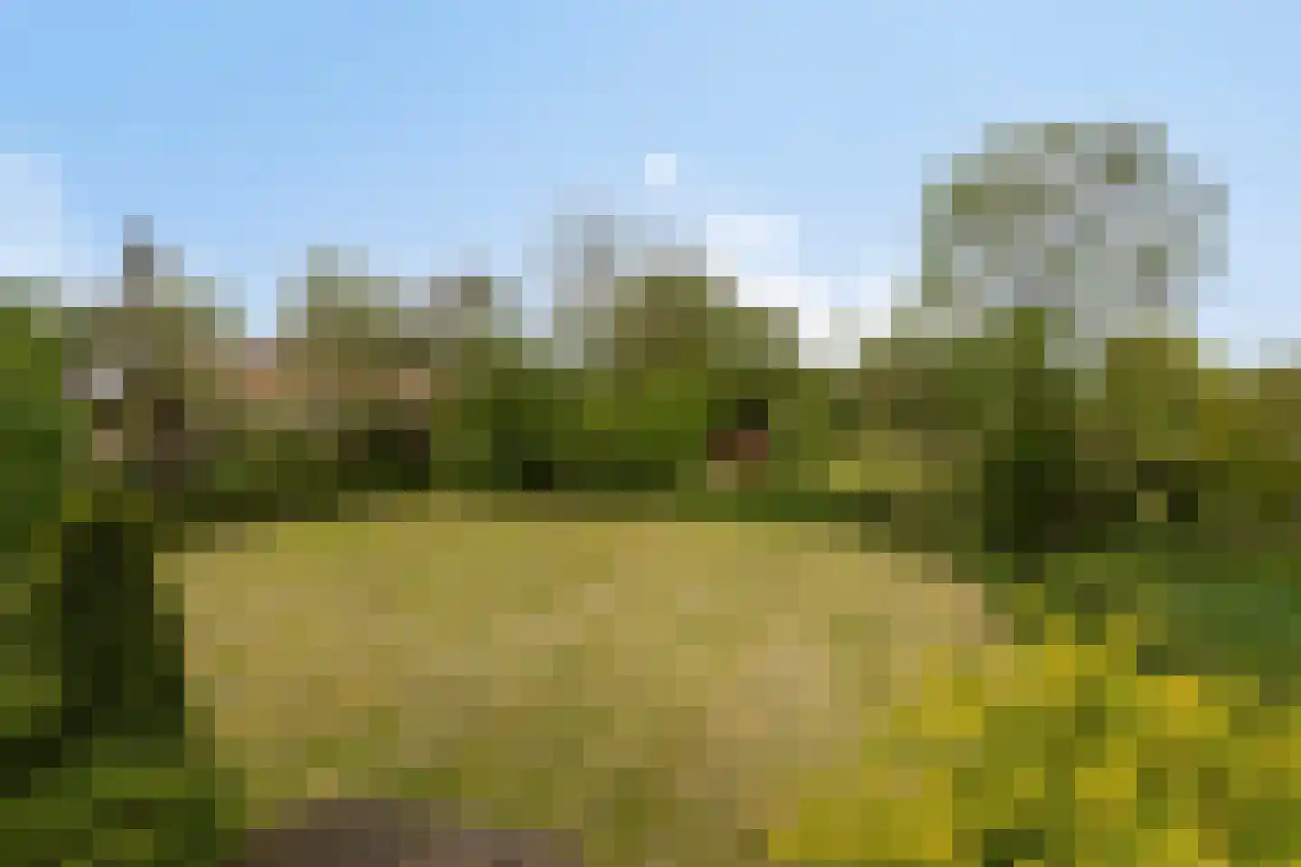 Jousterweg 91 a Oudehaske thumbnail 64