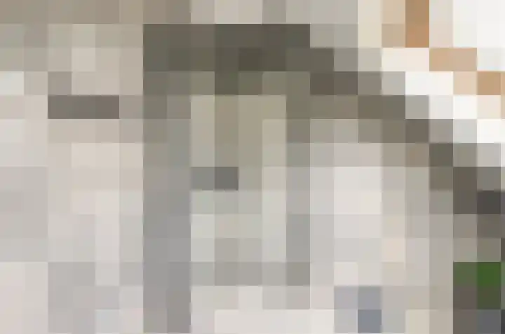 Jouw Keuningstrjitte 9 Workum thumbnail 19