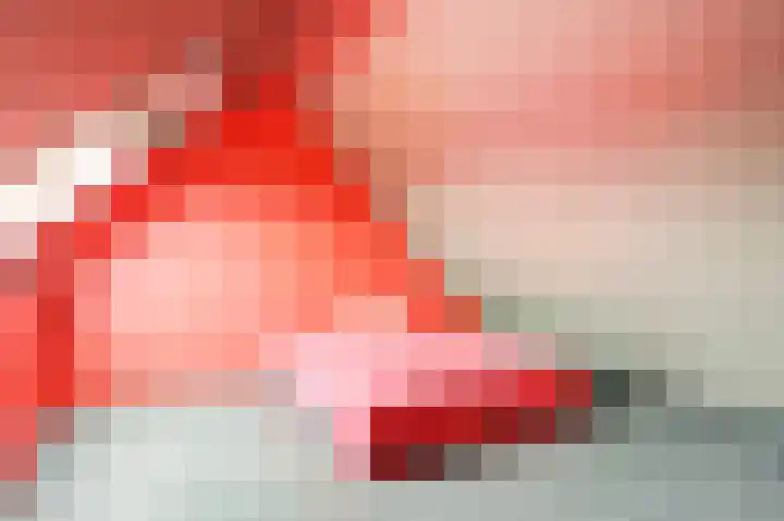 Jouw Keuningstrjitte 9 Workum thumbnail 26