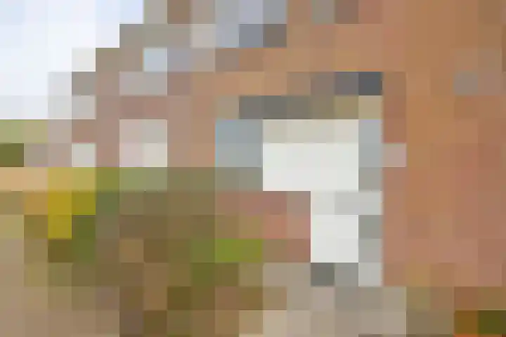 Jozef Beugelsdijkstraat 34 Noordwijk thumbnail 8