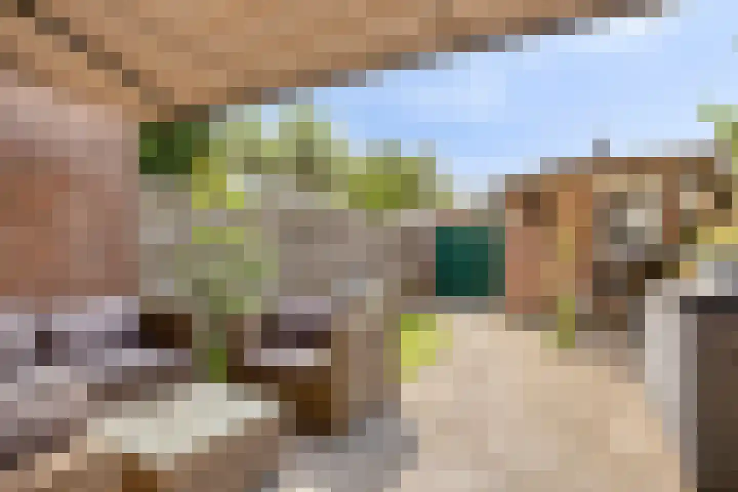 Jozef Beugelsdijkstraat 38 Noordwijk thumbnail 13