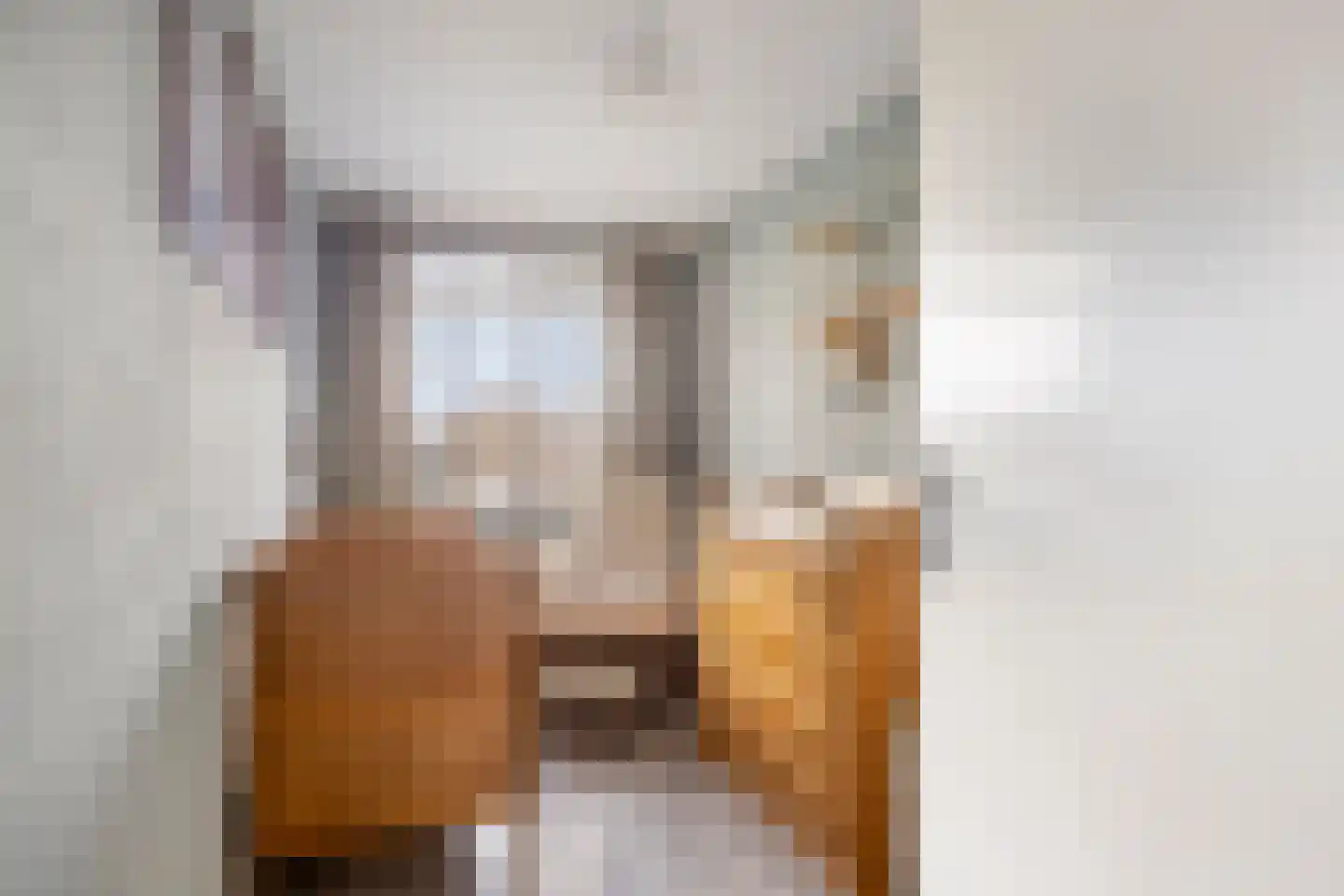 Jozef Beugelsdijkstraat 38 Noordwijk thumbnail 33