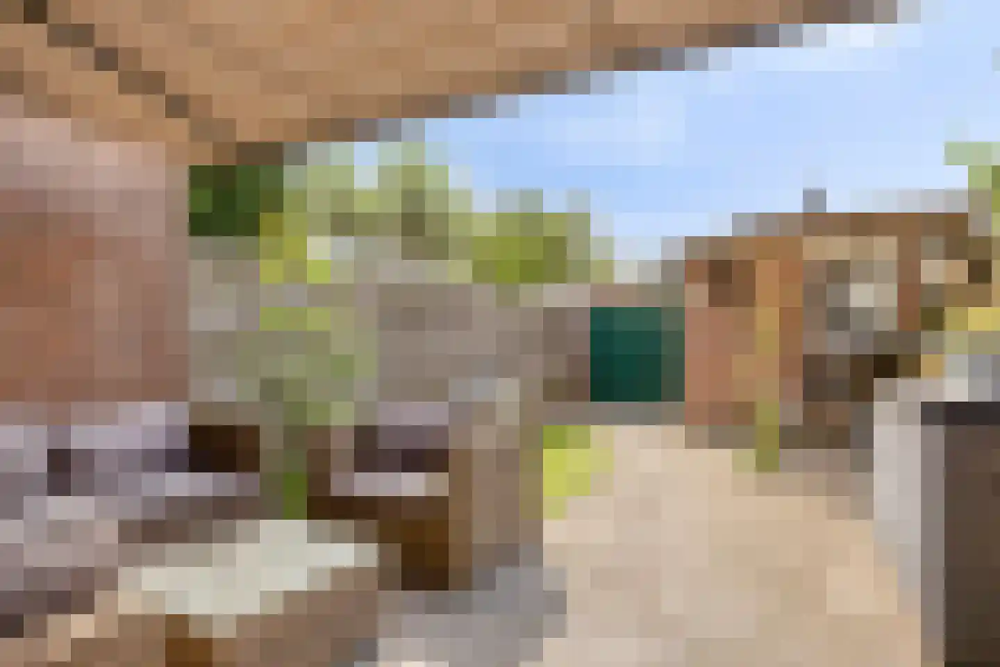 Jozef Beugelsdijkstraat 38 Noordwijk thumbnail 43