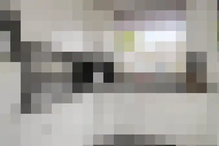 Jozef Eliasweg 11 Eindhoven thumbnail 12