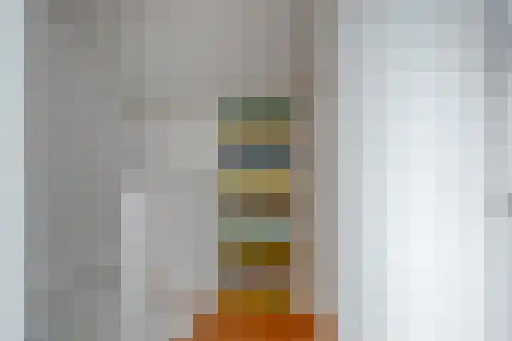 Jozef Eliasweg 11 Eindhoven thumbnail 22