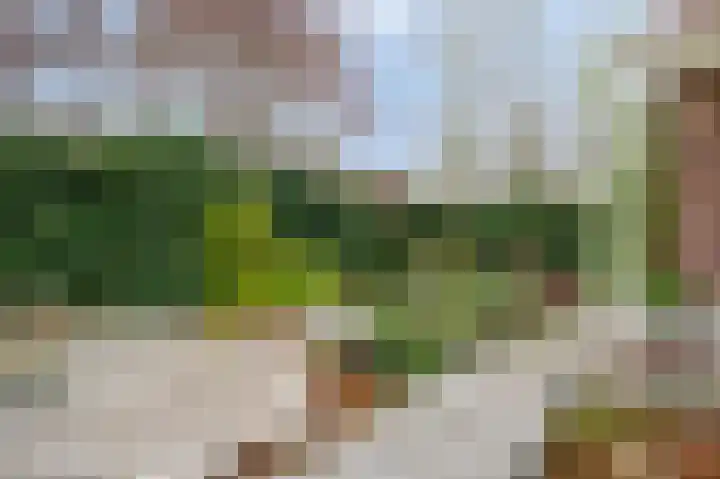 Jozef Hoensstraat 10 Sittard thumbnail 10