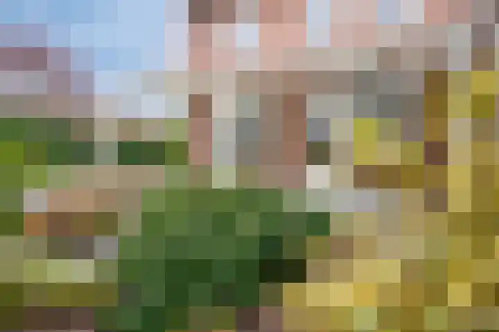 Jozef Hoensstraat 10 Sittard thumbnail 17
