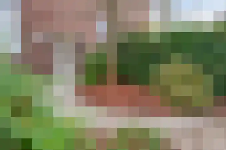 Jozef Hoensstraat 10 Sittard thumbnail 8