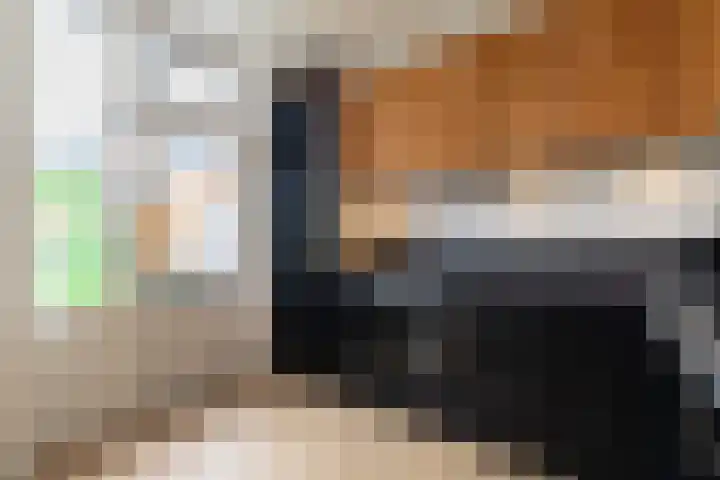 Jozef Israelshof 28 Nijkerk thumbnail 19