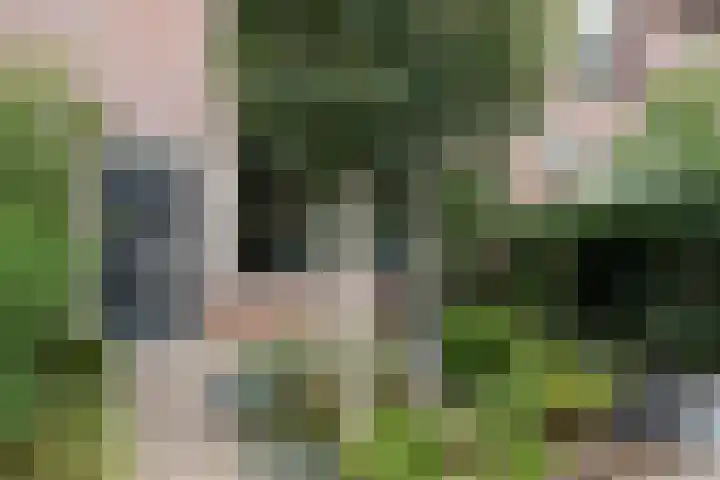 Jozef Israelshof 28 Nijkerk thumbnail 6