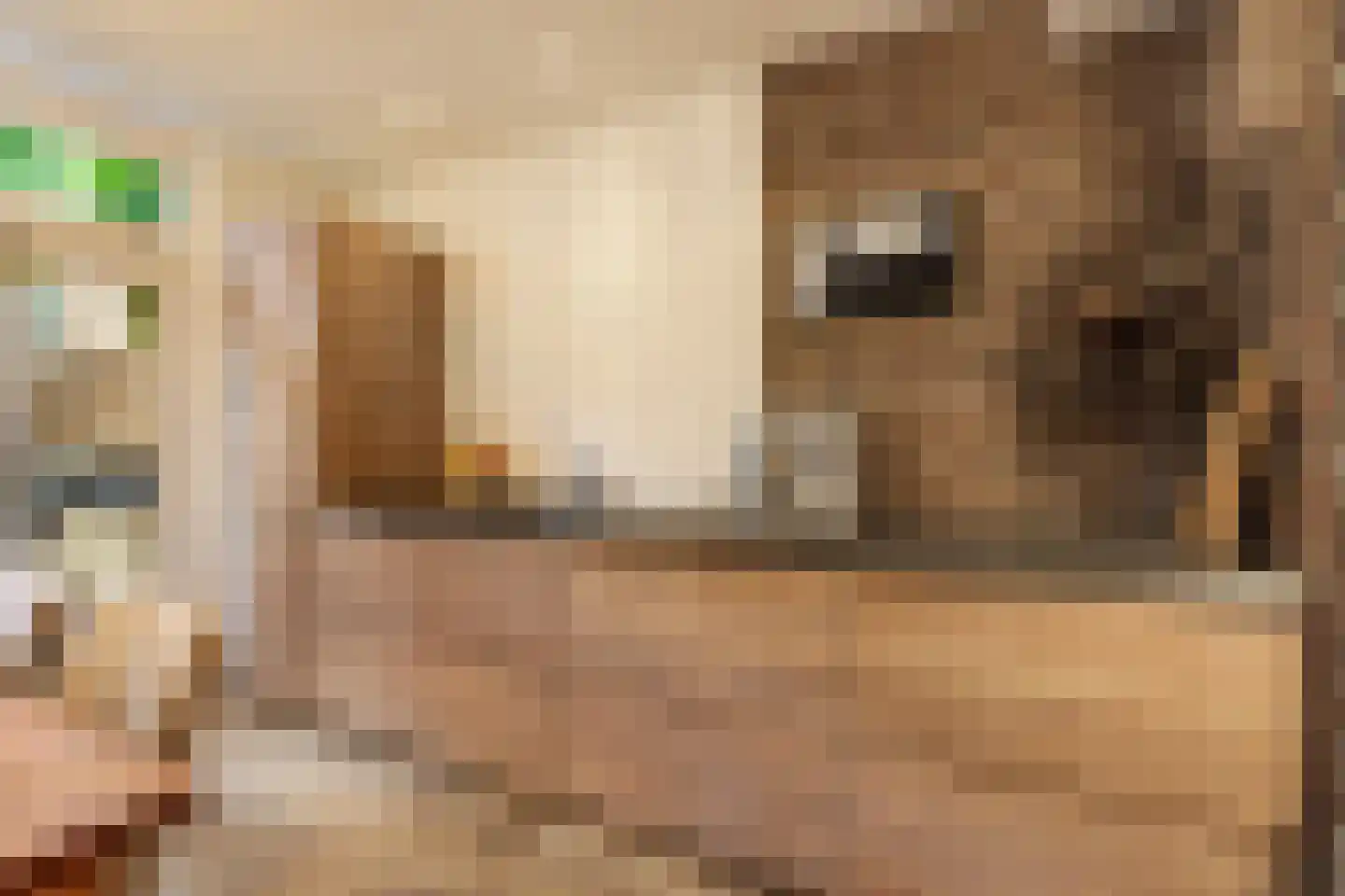 Jozef Israëlskade 10 A Amsterdam thumbnail 11