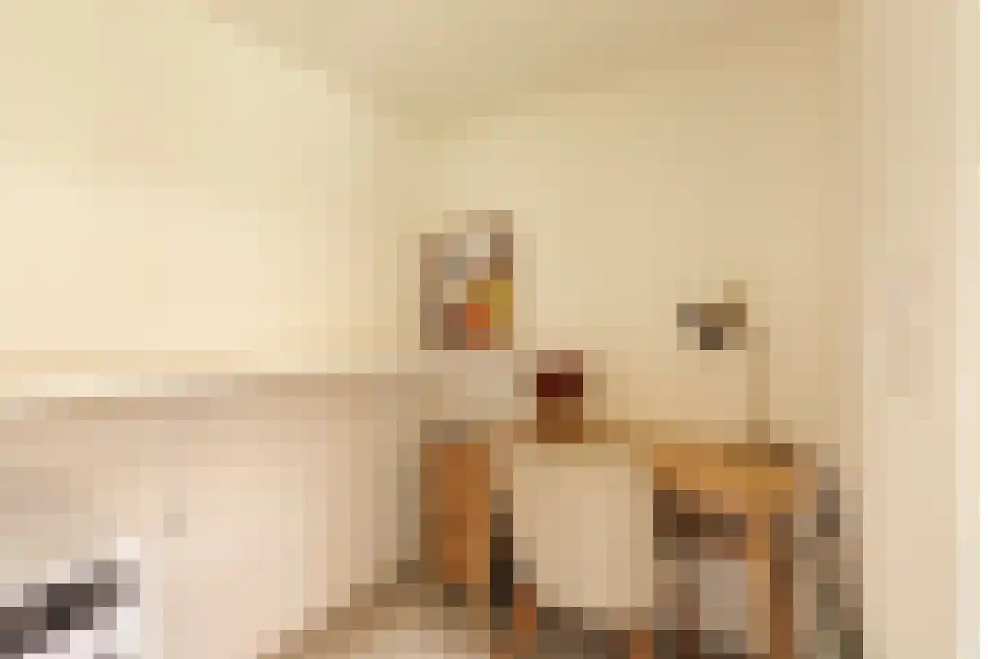 Jozef Israëlskade 10 A Amsterdam thumbnail 18