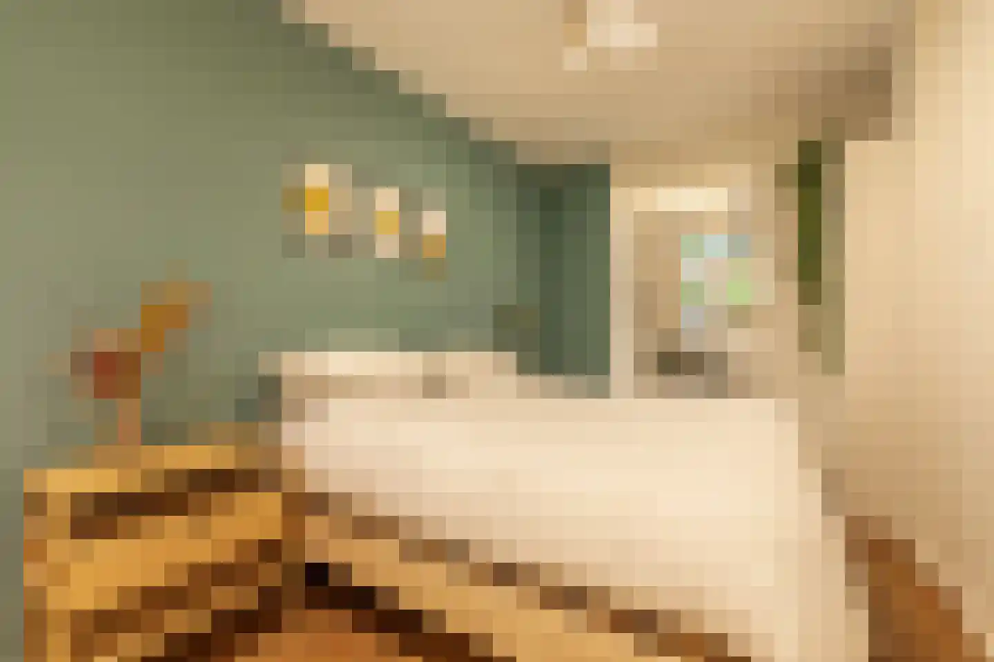 Jozef Israëlskade 10 A Amsterdam thumbnail 21