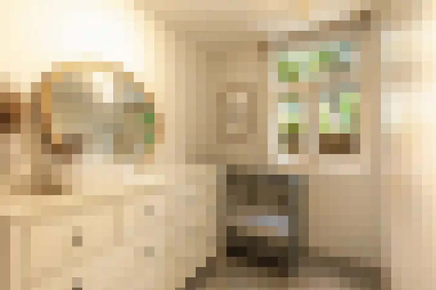 Jozef Israëlskade 10 A Amsterdam thumbnail 22