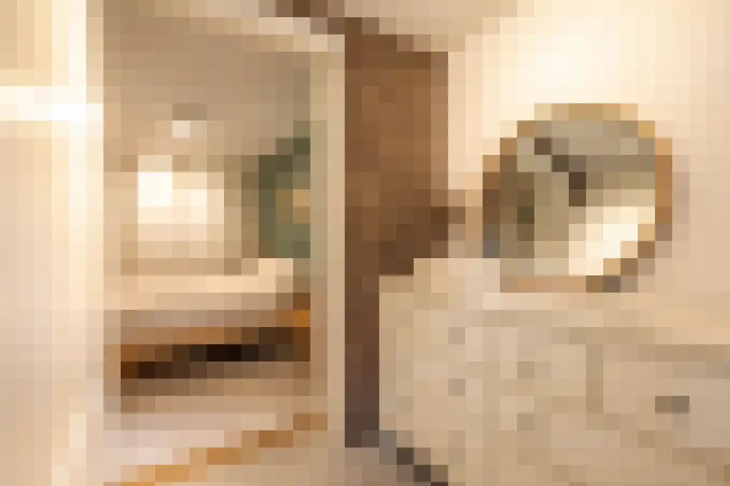 Jozef Israëlskade 10 A Amsterdam thumbnail 23