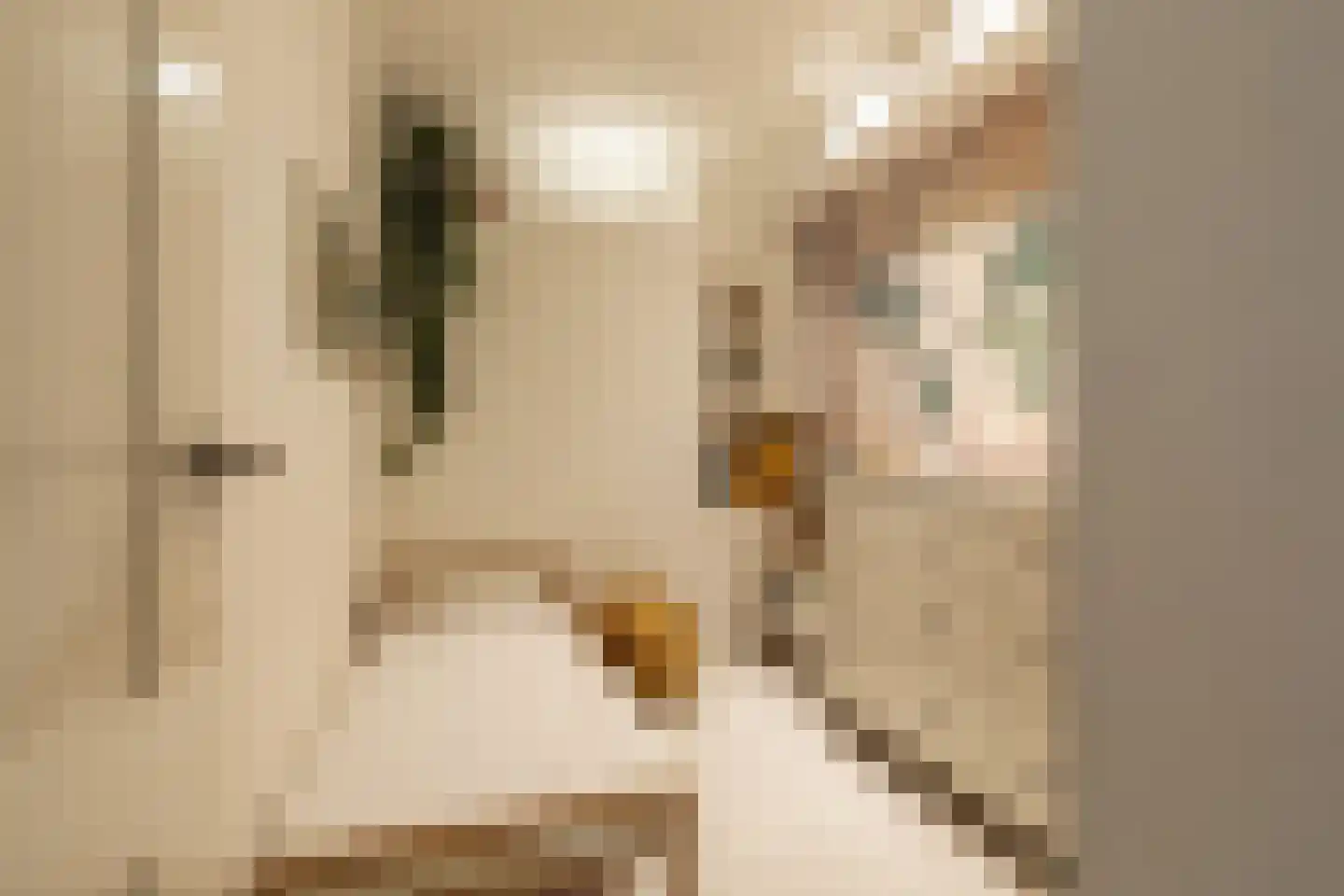 Jozef Israëlskade 10 A Amsterdam thumbnail 25