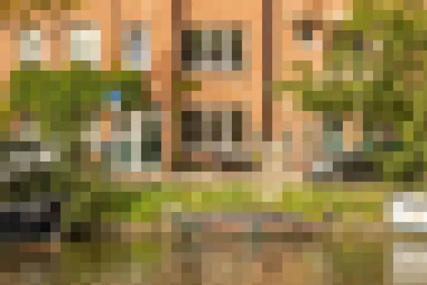 Jozef Israëlskade 10 A Amsterdam thumbnail 31