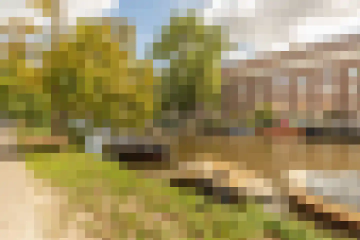 Jozef Israëlskade 10 A Amsterdam thumbnail 36