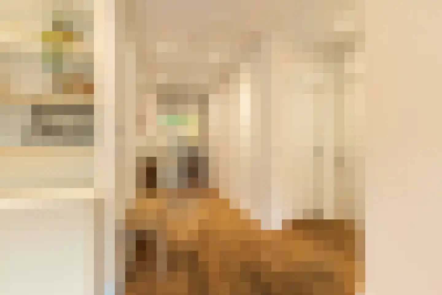 Jozef Israëlskade 10 A Amsterdam thumbnail 8