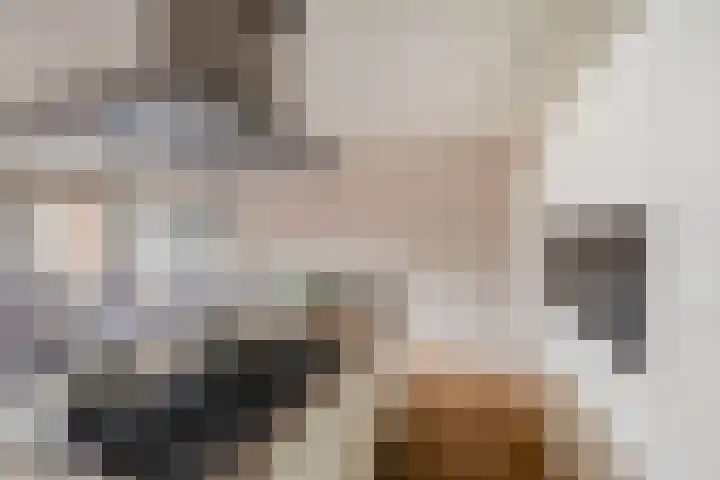 Jozef Israëlskade 10 C Amsterdam thumbnail 10