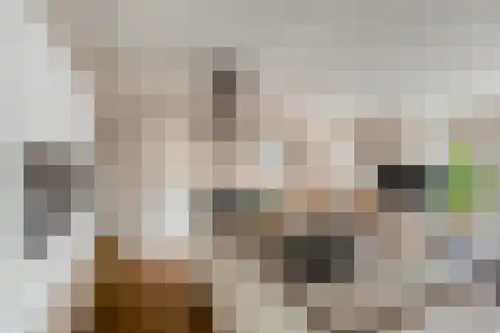 Jozef Israëlskade 10 C Amsterdam thumbnail 11