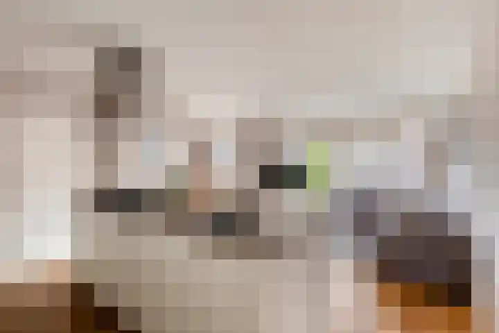 Jozef Israëlskade 10 C Amsterdam thumbnail 12