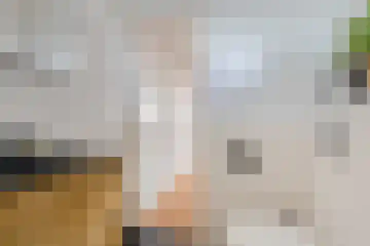 Jozef Israëlskade 10 C Amsterdam thumbnail 22