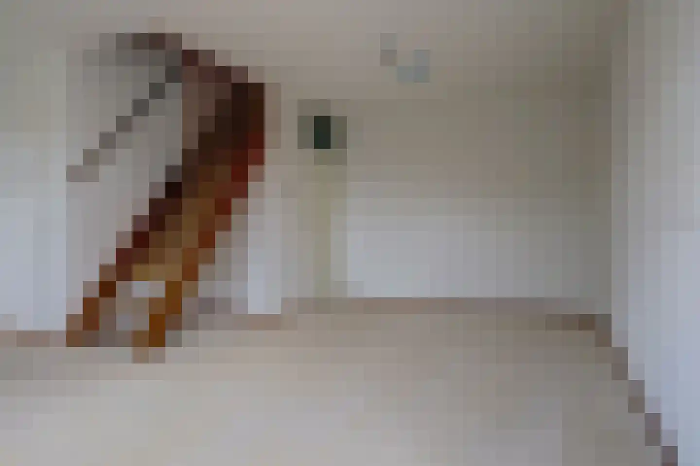 Jozef Israëlskade 13 D Amsterdam thumbnail 14