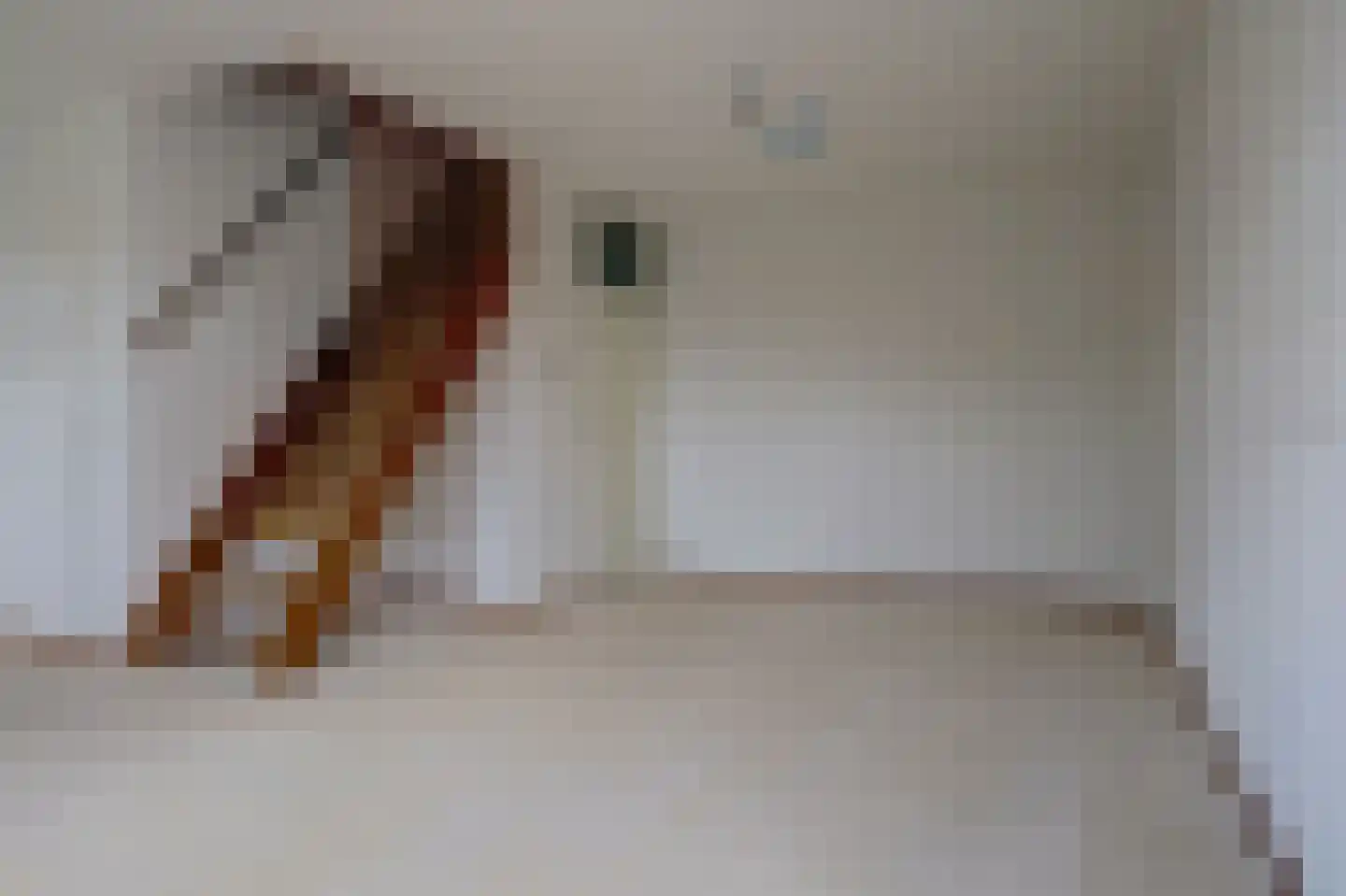 Jozef Israëlskade 13 D Amsterdam thumbnail 14