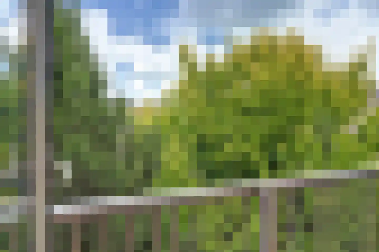 Jozef Israëlskade 13 D Amsterdam thumbnail 31