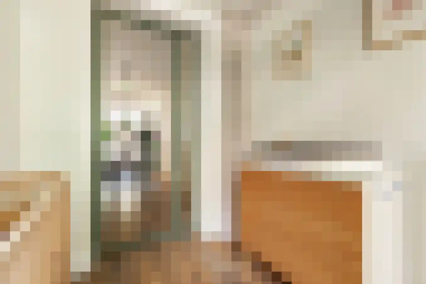 Jozef Israëlskade 14 A Amsterdam thumbnail 20