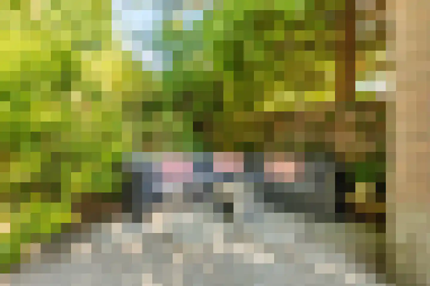 Jozef Israëlskade 14 A Amsterdam thumbnail 28