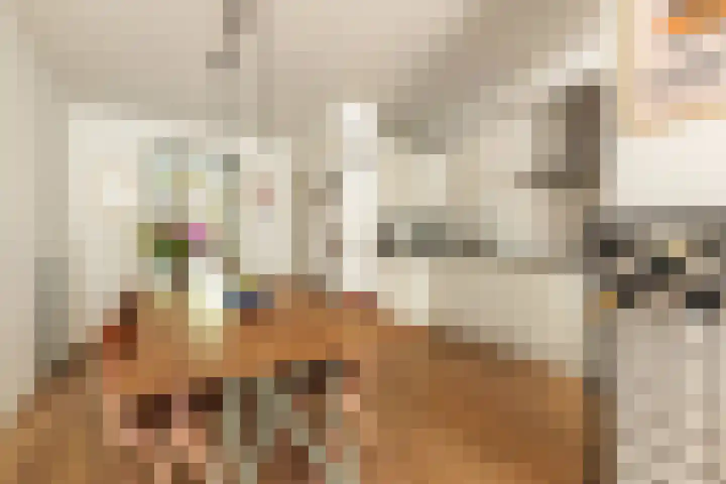 Jozef Israëlskade 14 A Amsterdam thumbnail 8