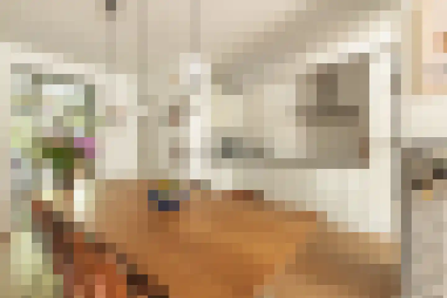 Jozef Israëlskade 14 A Amsterdam thumbnail 9