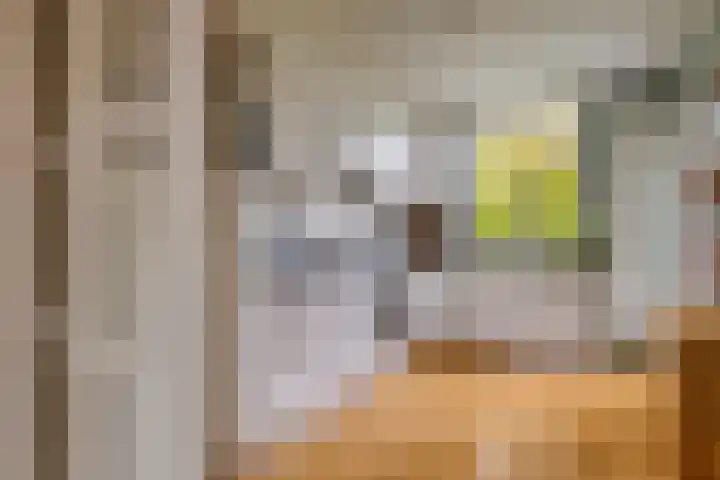 Jozef Israëlskade 14 C Amsterdam thumbnail 12